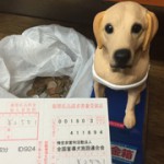 盲導犬募金を振り込みました！