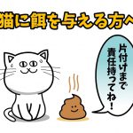 野良猫問題。