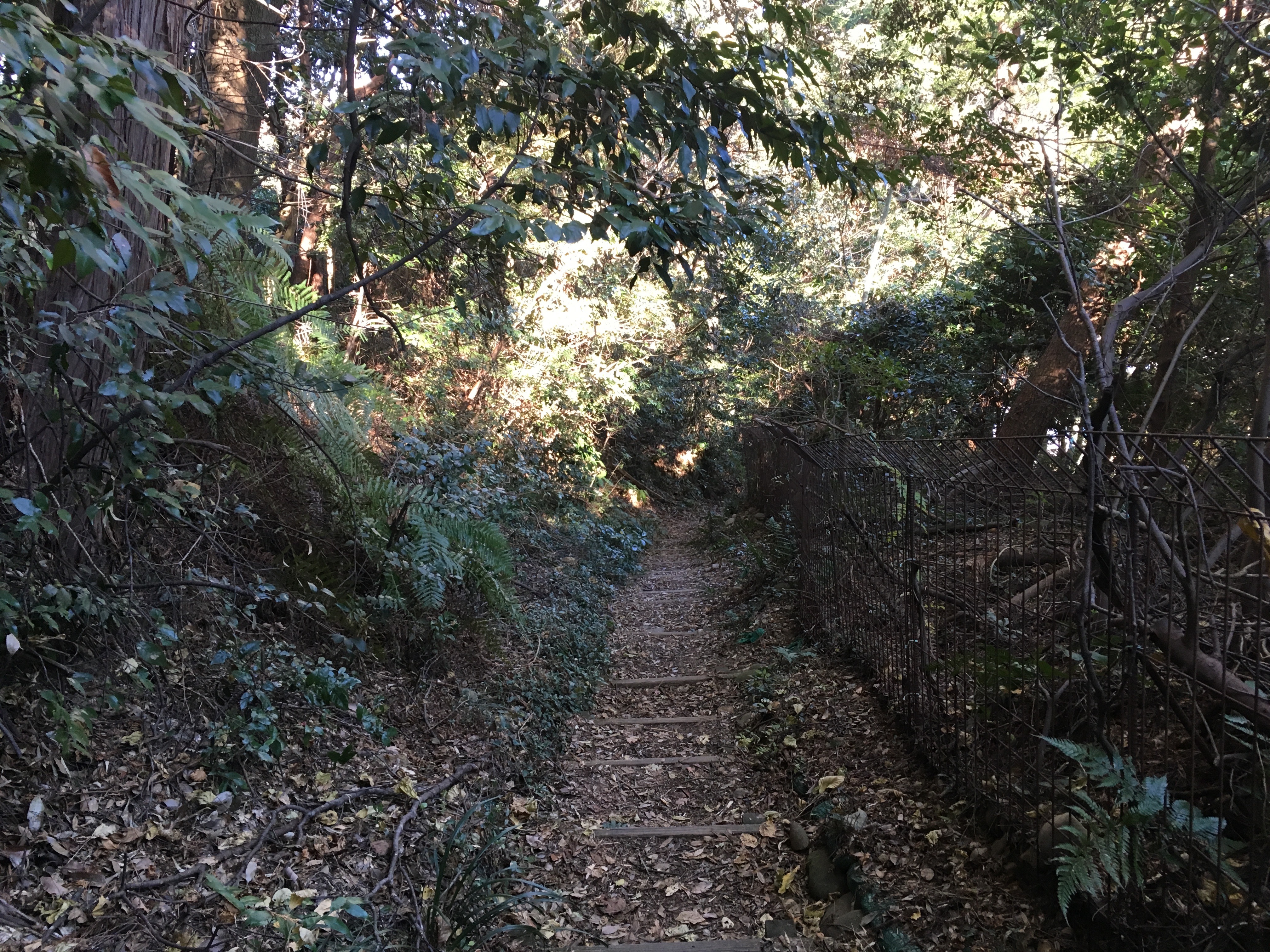 静岡の人は是非！